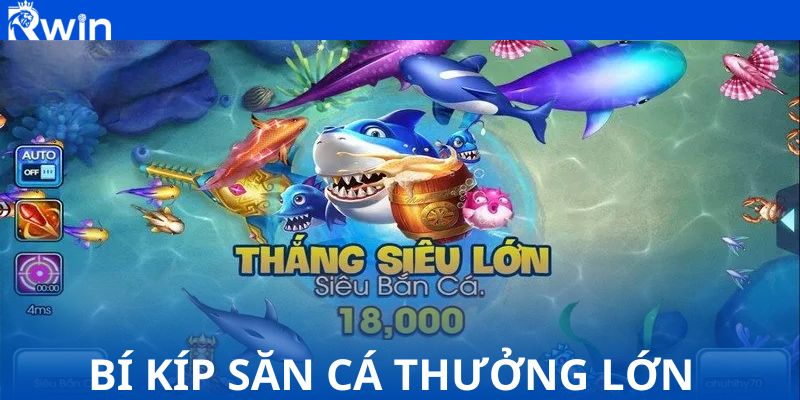 Bí kíp săn cá thưởng lớn cho ngư thủ chắc ăn 99.9%