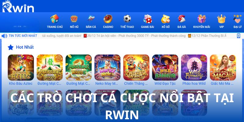 Giới thiệu về các trò chơi cá cược nổi bật tại RWIN