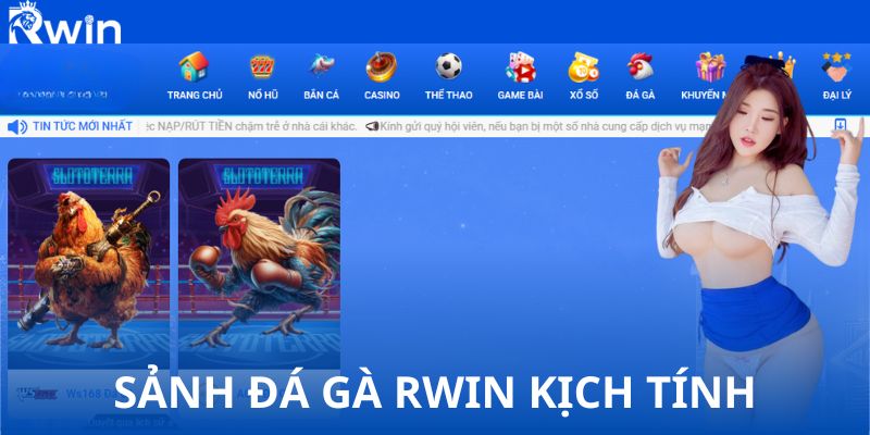 Sảnh đá gà RWIN kịch tính